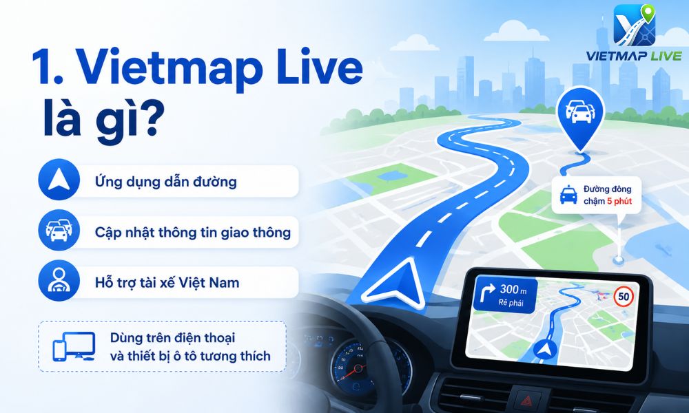 Đại lý Vietmap Live Đồng Nai